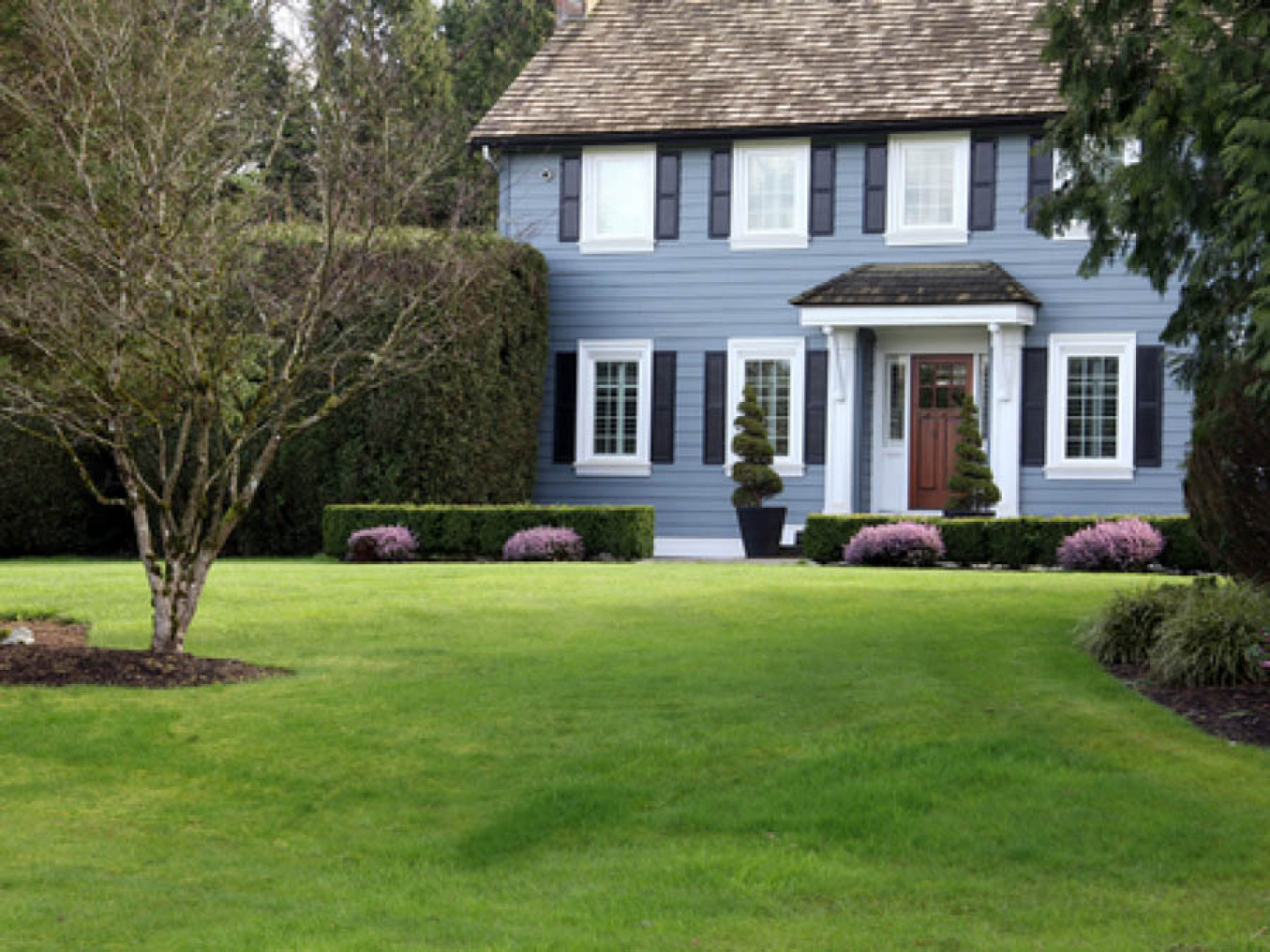 Tree Planting Services Rochester & Byron, MN Astorino's Tree