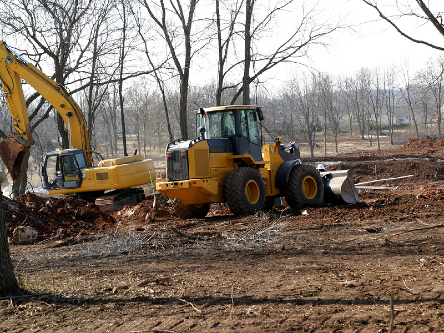 Tree Removal & Land Clearing Rochester & Byron, MN Astorino's Tree