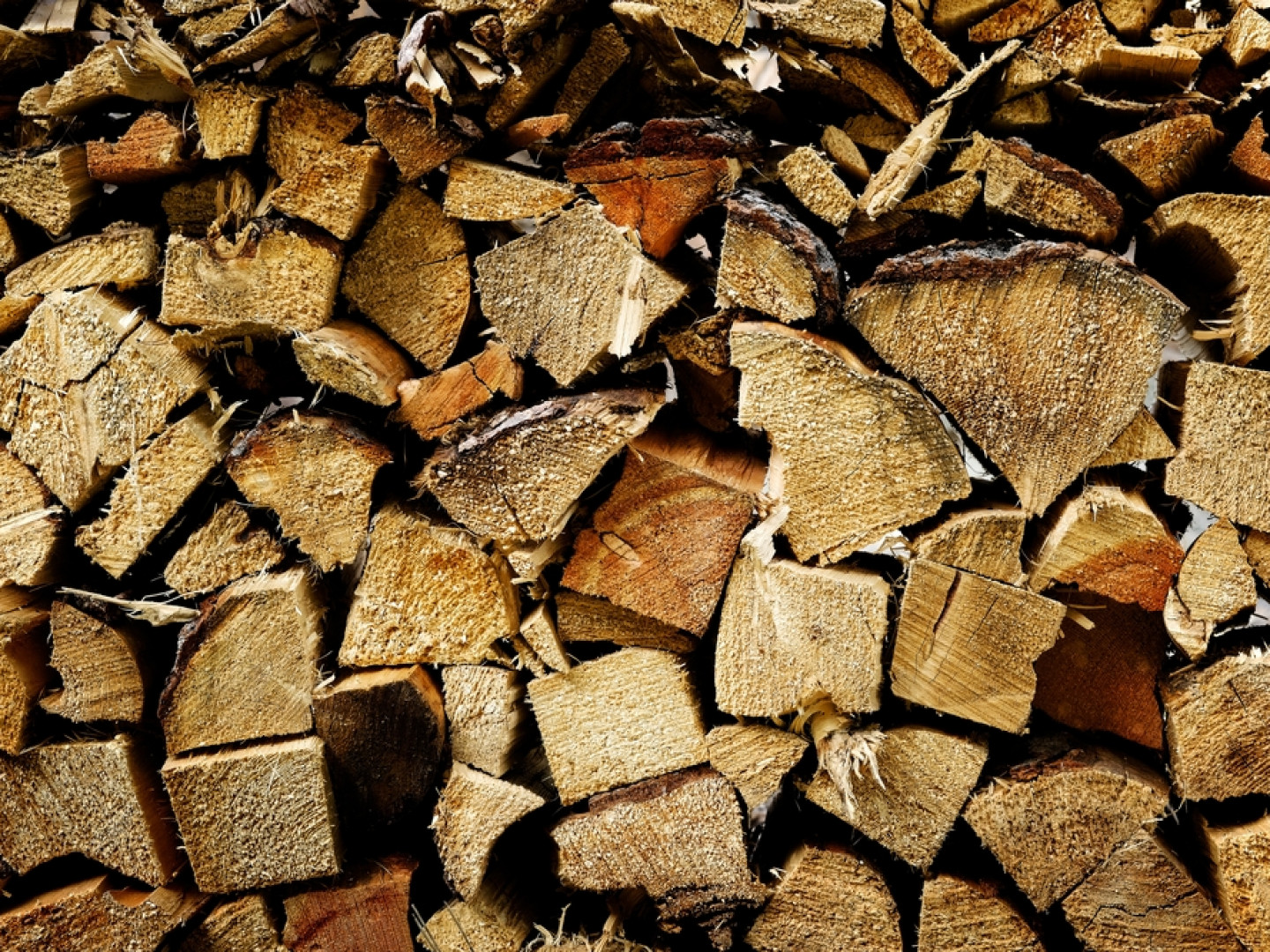 Firewood For Sale Rochester & Byron, MN Astorino's Tree Service LLC